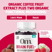 Thumbnail for OM MUSHROOM SUPERFOOD Brain Fuel+ Gummies – USA Grown Organic Lion’s Mane – Supports Memory, Focus & Cognitive Function – Raspberry Flavor – 28 Servings, 56 Count.