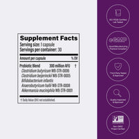 Thumbnail for Pendulum Metabolic Daily - Multi-Strain Probiotic with Akkermansia muciniphila to Support Metabolism and Sustain Energy Levels - for Women and Men - 30 Capsules (1 Pack)