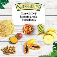 Thumbnail for LAFEBER'S Tropical Fruit Nutri-Berries Pet Bird Food, Made with Non-GMO and Human-Grade Ingredients, for Parrots, 3 lb