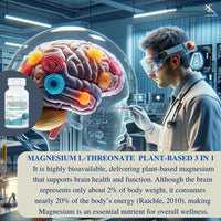 Thumbnail for Kappa Nutrition Powered by Magbrain™ Magnesium L-Threonate Plant-Based, 150 Vegan Capsules, 420mg Elemental Magnesium (3 Capsules) from 2,253mg, Brain, Sleep & Muscle Support.