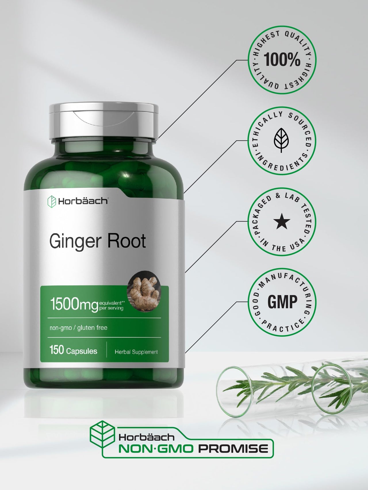 Horbäach Ginger Root Capsules | 150 Pills | Non-GMO, Gluten Free | Ginger Root Extract