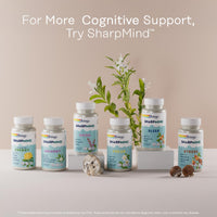 Thumbnail for SOLARAY Ginkgo Biloba Extract with Gotu Kola - Ginko Biloba Capsules for Brain Health Support - Vegan, Lab Verified, 60-Day Guarantee - 60 Servings, 60 VegCaps (30 VegCaps)