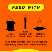 Thumbnail for Wild Delight Woodpecker, Nuthatch N' Chickadee Food, 5 lb (364050)
