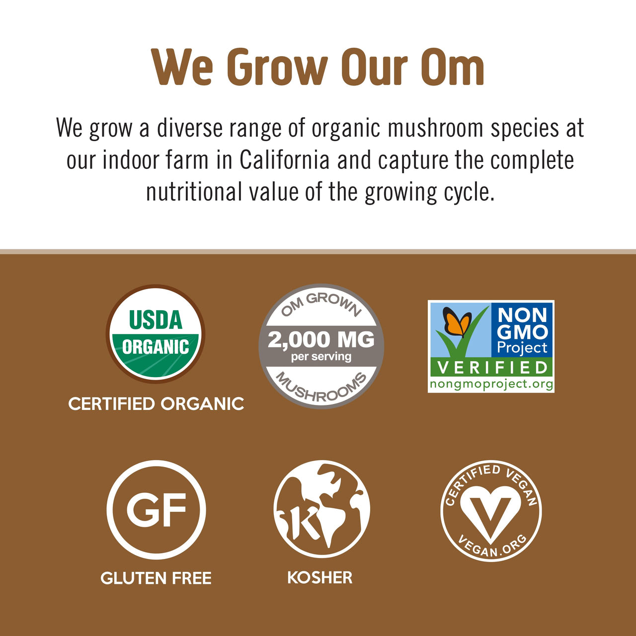 OM MUSHROOM SUPERFOOD Coffee Latte Blend – Functional Mushroom Powder with Lion’s Mane, Cordyceps, Reishi & Chaga – Energy, Focus & Mental Clarity Support – 8.47 oz Canister (30 Servings)