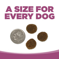 Thumbnail for NutriSource Element Series Wild Range Dry Dog Food, Chicken, Pork & Bison, 4LB