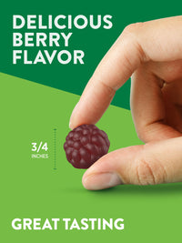 Thumbnail for Nature's Truth Black Elderberry Gummies | 50 Vegan Gummies | with Vitamin C and Zinc | Berry Flavor | Vegan, Non-GMO, and Gluten Free Supplement