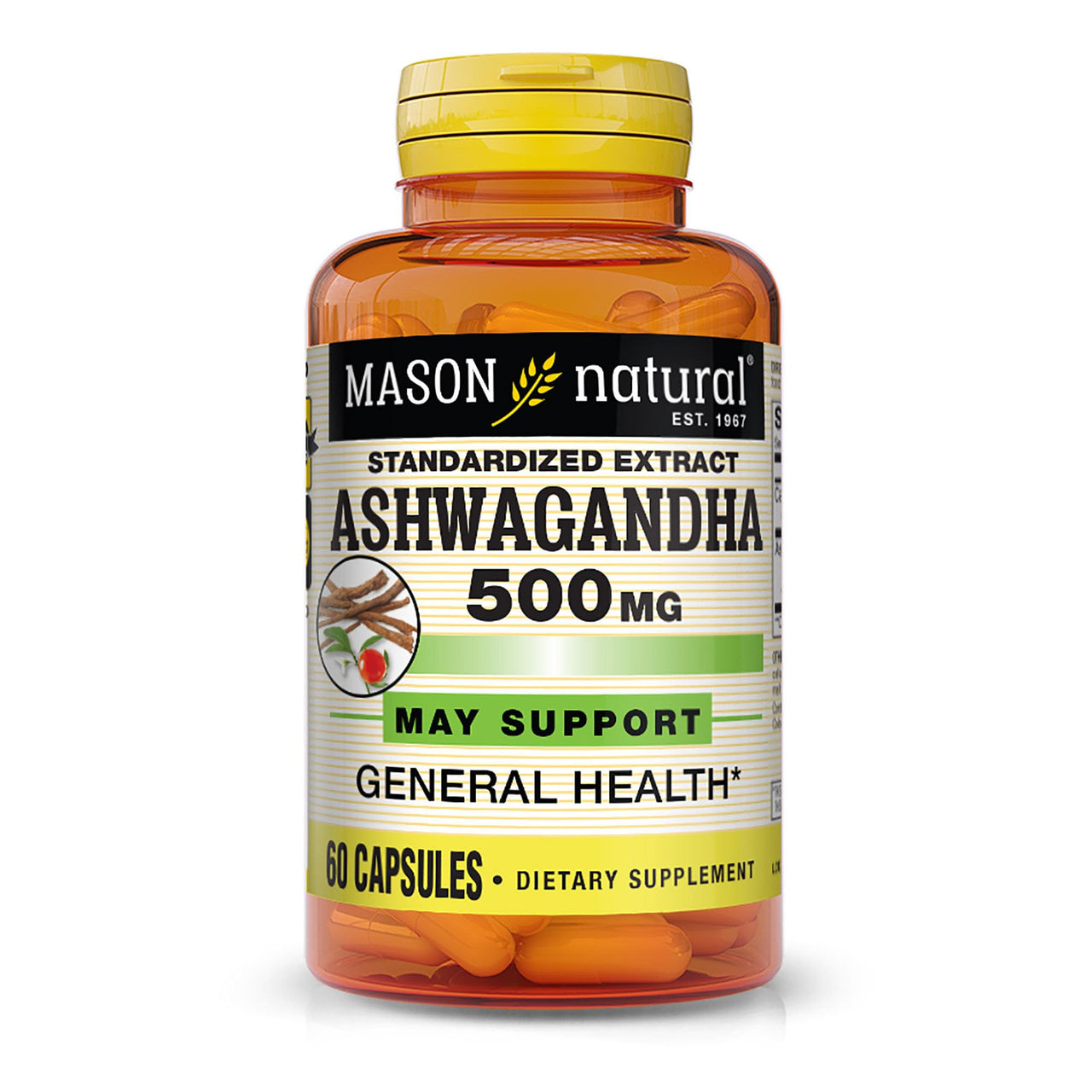 Mason Natural Ashwagandha 500 mg, Adaptogen for Stress & Energy Support, Herbal Supplement, 60 Day Supply