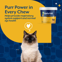 Thumbnail for NaturVet L-Lysine Immune Support Plus Antioxidants Cat Supplement – Helps Support Eye Health, Immune System for Cats – Includes Amino Acids – 60 Ct. Soft Chews, 30-Day Supply
