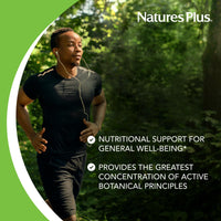 Thumbnail for NaturesPlus Herbal Actives Turmeric - 60 Capsules - Non-GMO, Vegan, Gluten Free - 60 Servings