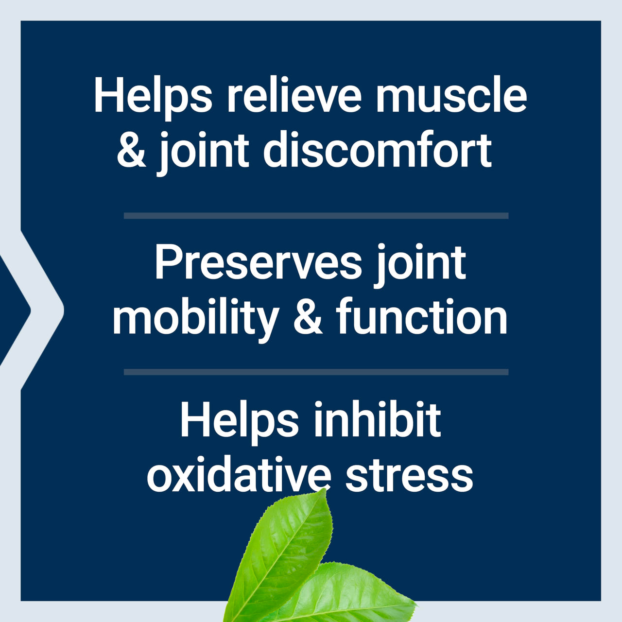 Life Extension MSM, 1000 mg, methylsulfonylmethane, Supports Healthy Joints, antioxidant Support, Gluten-Free, Non-GMO, 100 Capsules