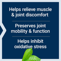 Thumbnail for Life Extension MSM, 1000 mg, methylsulfonylmethane, Supports Healthy Joints, antioxidant Support, Gluten-Free, Non-GMO, 100 Capsules
