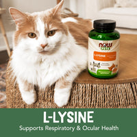 Thumbnail for NOW Pet Health, L-Lysine Supplement, Powder, Formulated for Cats, NASC Certified, 8-Ounce