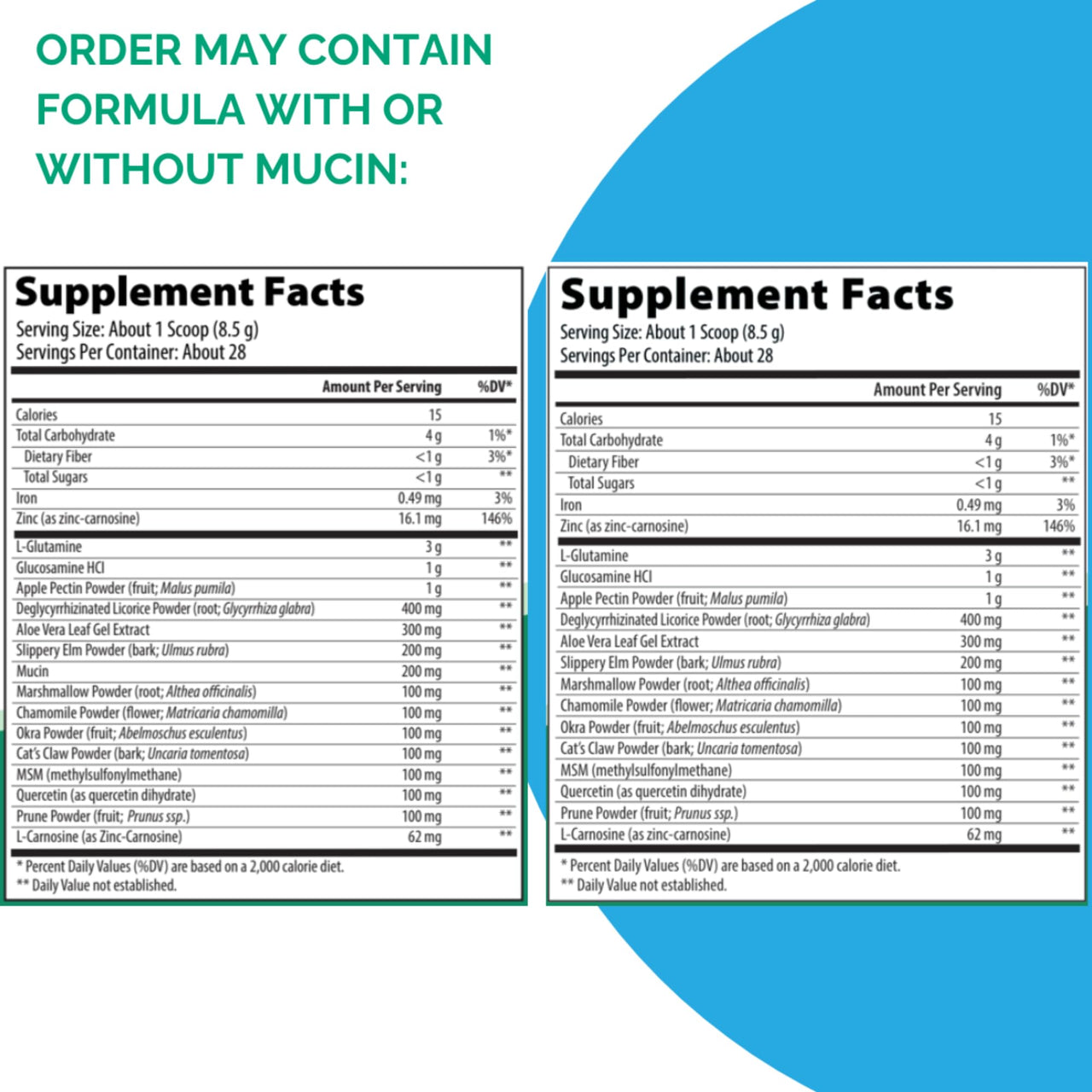 Rootcology by Dr. Izabella Wentz | Gut R&R | Support Gastrointestinal Function and Regularity with Zinc, Licorice, Aloe Vera, and Slippery Elm Extract | Southern Peach Flavor | 238g 28 Servings