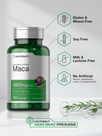 Thumbnail for Horbäach Maca Root Capsules for Men and Women | 120 Pills | High Potency Extract | Non-GMO and Gluten Free Formula