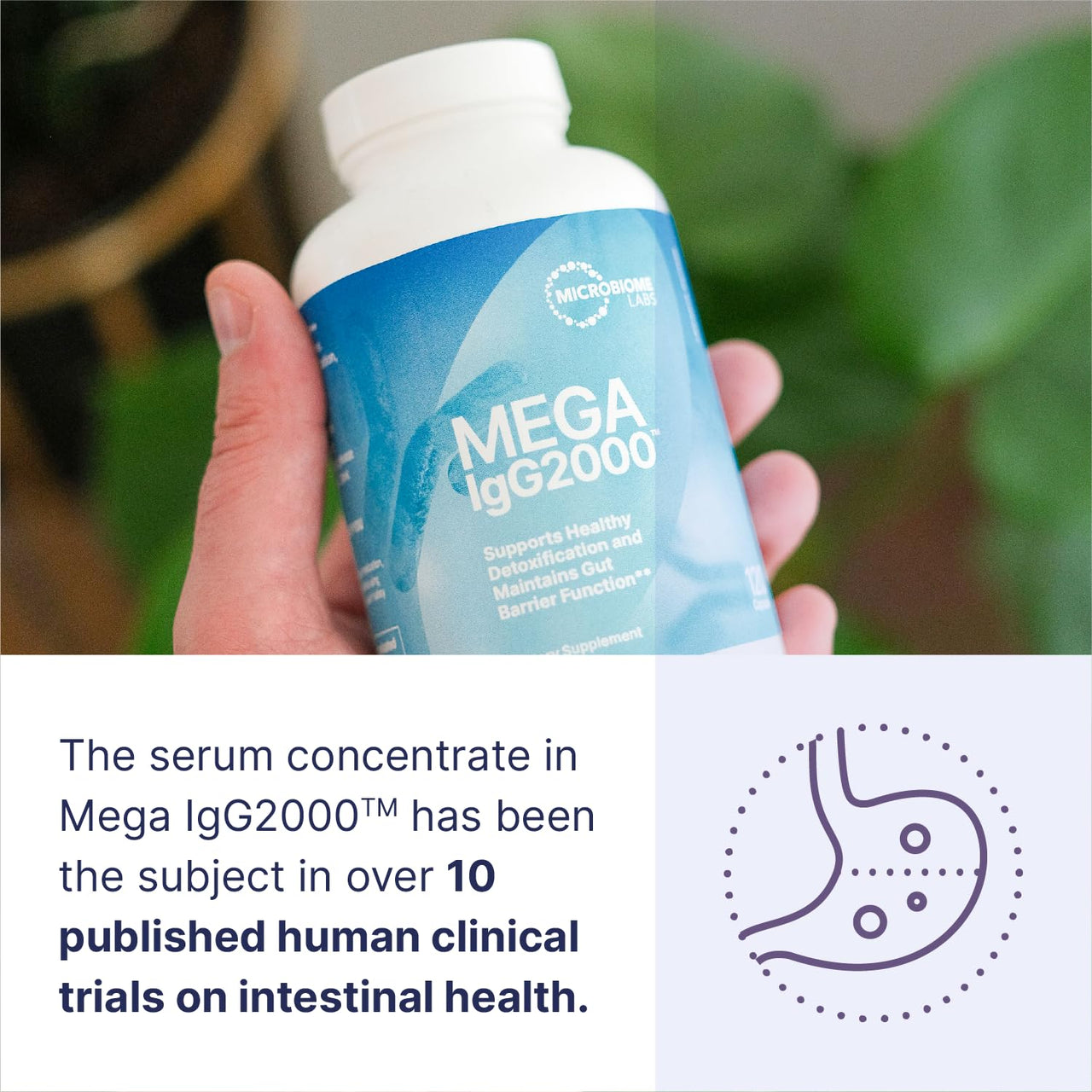 Microbiome Labs Mega IgG2000 Capsules - Dairy Free Bovine Colostrum Supplement Alternative - Immunoglobulin Supplement from Bovine Serum to Support Digestive Health (120 Capsules)
