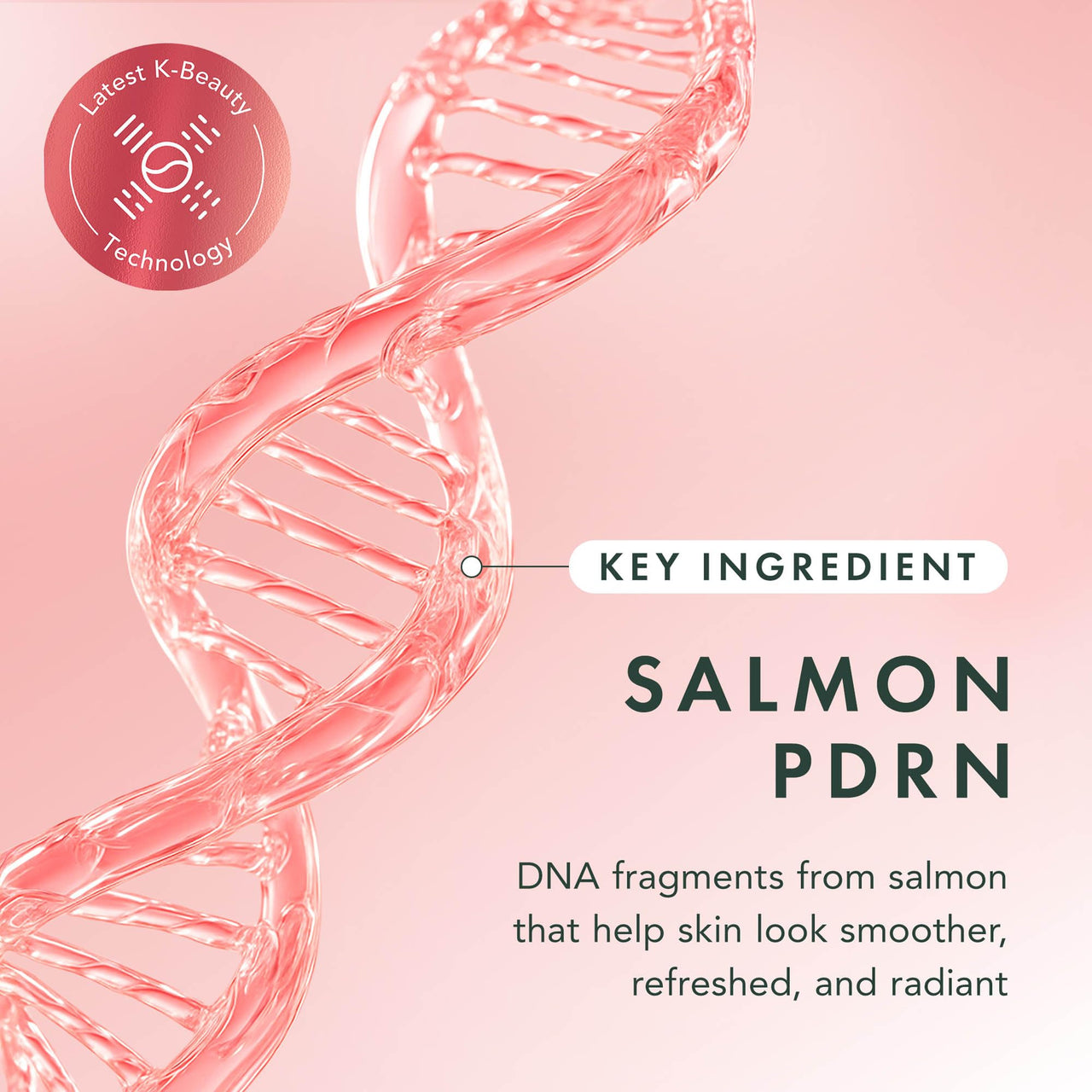 Rael Collagen PDRN Hydrogel Face Masks – Deep Hydration with Salmon PDRN, Collagen, Peptide, and Hyaluronic Acid, Anti-Slip, Korean Skin Care (4 Count)