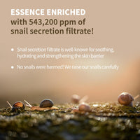 Thumbnail for BENTON Snail Bee High Content Lotion 120ml (4.05 fl oz.) - Snail Mucin Moisturizer With Bee Venom | Hydrating Korean Skin Care Facial Moisturizer For Dry Skin & Combination skin