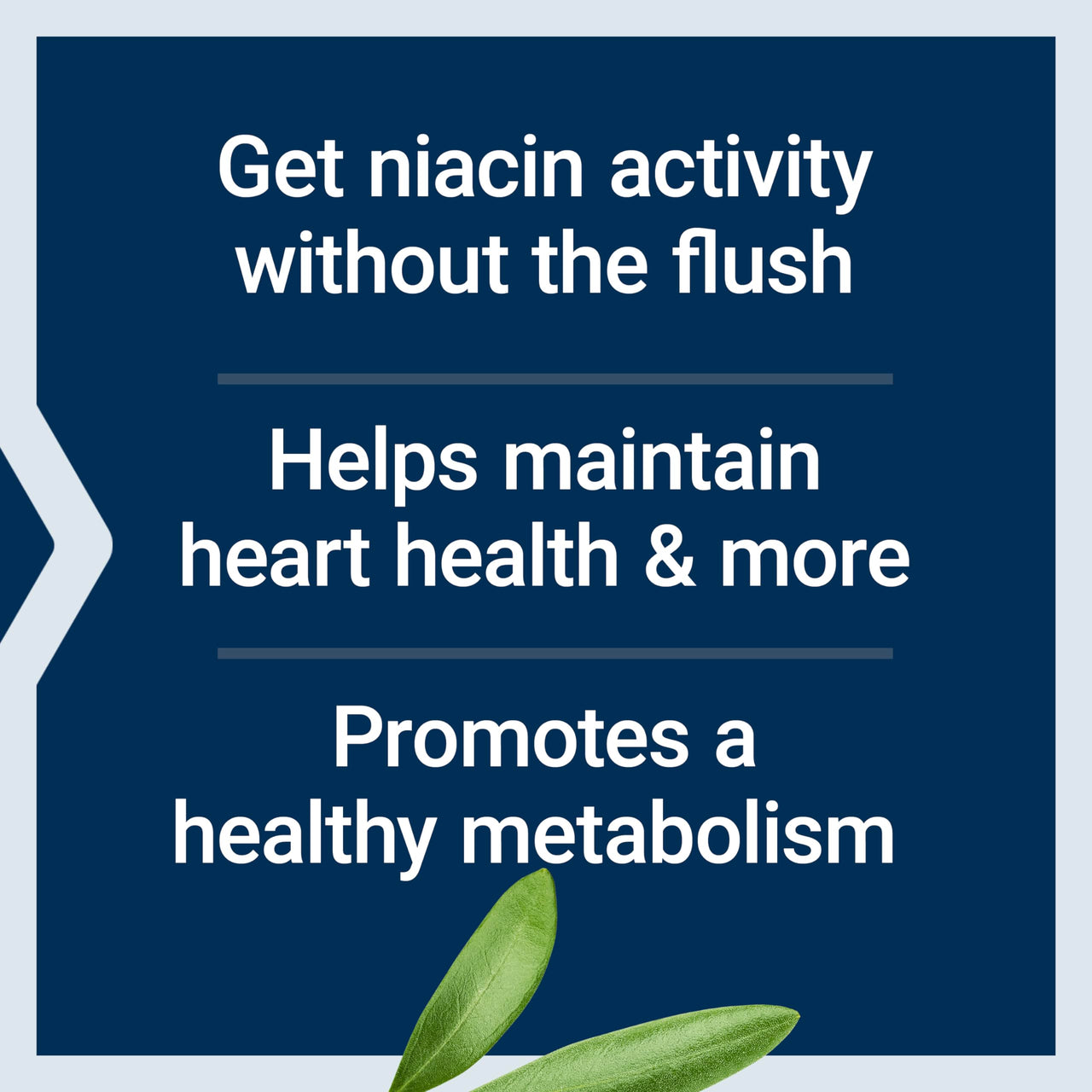 Life Extension No Flush Niacin, B3 for Heart Health, Cholesterol & Energy Support, Non-GMO, Gluten-Free, 100 Capsules