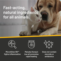 Thumbnail for Absorbine Silver Honey Hot Spot & Wound Care Spray Gel 8oz Bottle, Manuka Honey & MicroSilver BG, Medicated for Dogs, Cats, Small Animals