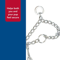 Thumbnail for Coastal Pet Titan Dog Prong Training Collar - Rust-Resistant and Prong Metal Training Chain Collar for Dogs - Quality Supplies - 2 mm x 14