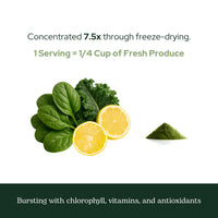 Thumbnail for Eclectic Herb - Lemon Greens Powder Supplement | Immune + Detox Support | Nutritional Support, Vitamins + Minerals | Superfood Powder + Daily Greens Drink Mix | Non-GMO, Vegan (3.2 oz | 90 g)