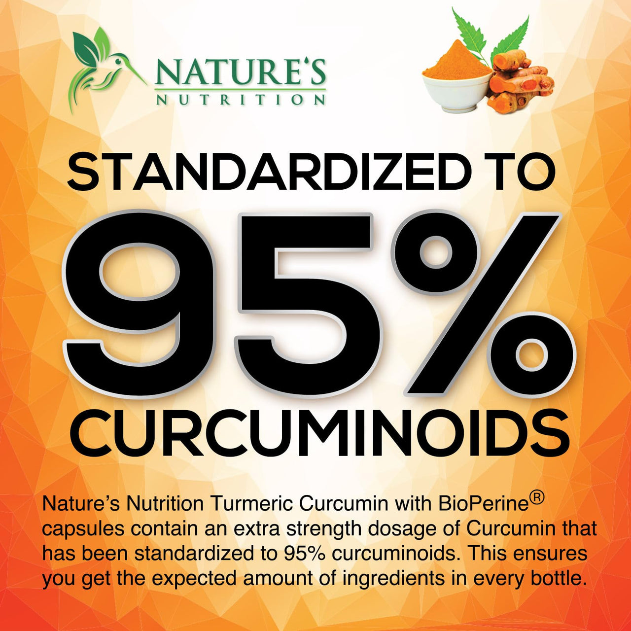 Turmeric Curcumin Supplement 95% Curcuminoids - 1800mg Organic Turmeric Per Serving - BioPerine Black Pepper Extract for Best Absorption, Natural Joint Support, Non-GMO, Bottled in USA - 240 Capsules