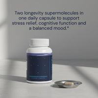 Thumbnail for Blueprint Bryan Johnson Ashwagandha & Rhodiola Supplement – 120mg Ashwagandha + Rhodiola Root – Daily Adaptogen Capsules for Stress Support, Mood Balance, Energy & Focus – 30 Vegan Capsules