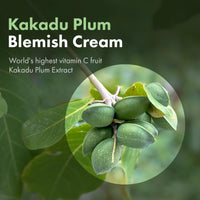 Thumbnail for TOSOWOONG Kakadu Plum Blemish Cream, Dark Spot Remover for Face Cream, Kakadu Plum 600,000ppm, Niacinamide, Adenosine, Betaine, Dark Spot Corrector, Vitamin C, Korean Skin Care, 50g, 1.76 oz.