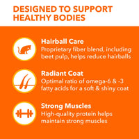 Thumbnail for IAMS Proactive Health Long Hair Care Dry Cat Food, Adult Cat Food Dry Recipe with Real Chicken, 6 lb. Bag