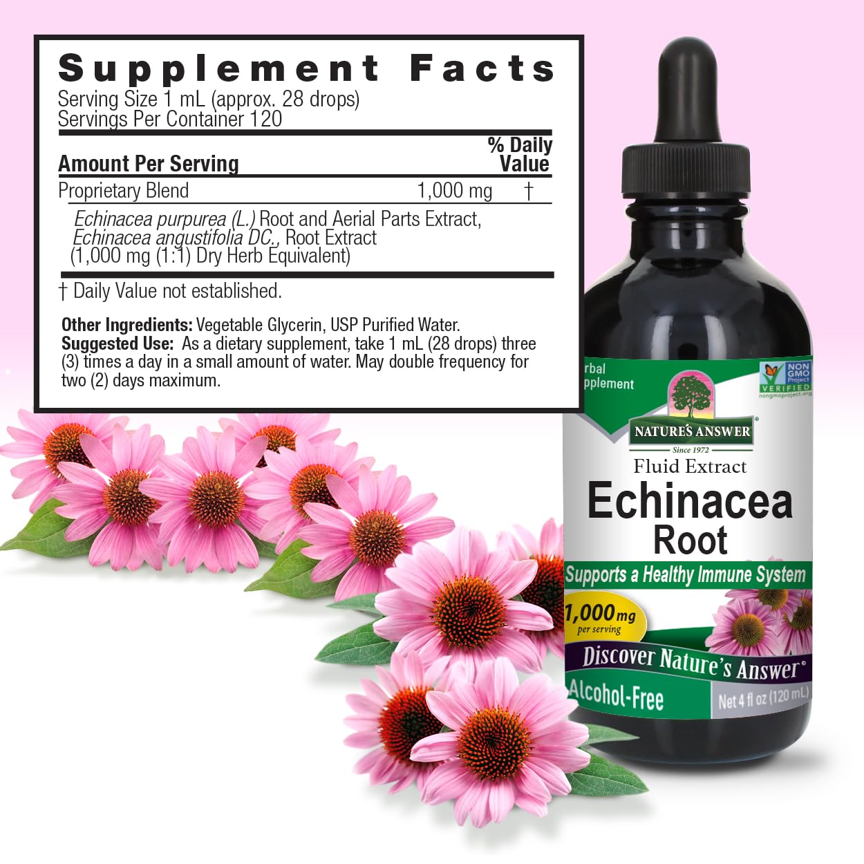 Nature's Answer Echinacea | 4 oz. Supports a Healthy Immune System | Non-GMO | Alcohol-Free, Gluten-Free, Vegan, Kosher Certified & No Preservatives 4 fl oz
