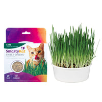 Thumbnail for SmartyKat Sweet Greens Organic Oat Grass All-in-One Cat Grass Grow Kit, Easy-to-Grow to Support Digestion & Hairball Reduction