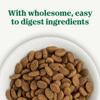 Thumbnail for Nutro Wholesome Essentials Natural Dry Cat Food Sensitive Stomach, Chicken, Rice & Peas Recipe Cat Kibble, 5 lb. Bag