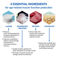 Thumbnail for BioTrust Ageless Muscle Builder - Creatine HMB Powder with Vitamin D3 & Betaine - Build & Preserve Naturally Declining Muscle Mass & Strength - Fruit Punch, 30 Servings