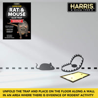 Thumbnail for Harris Toughest Rat Glue Trap (2/Pack)