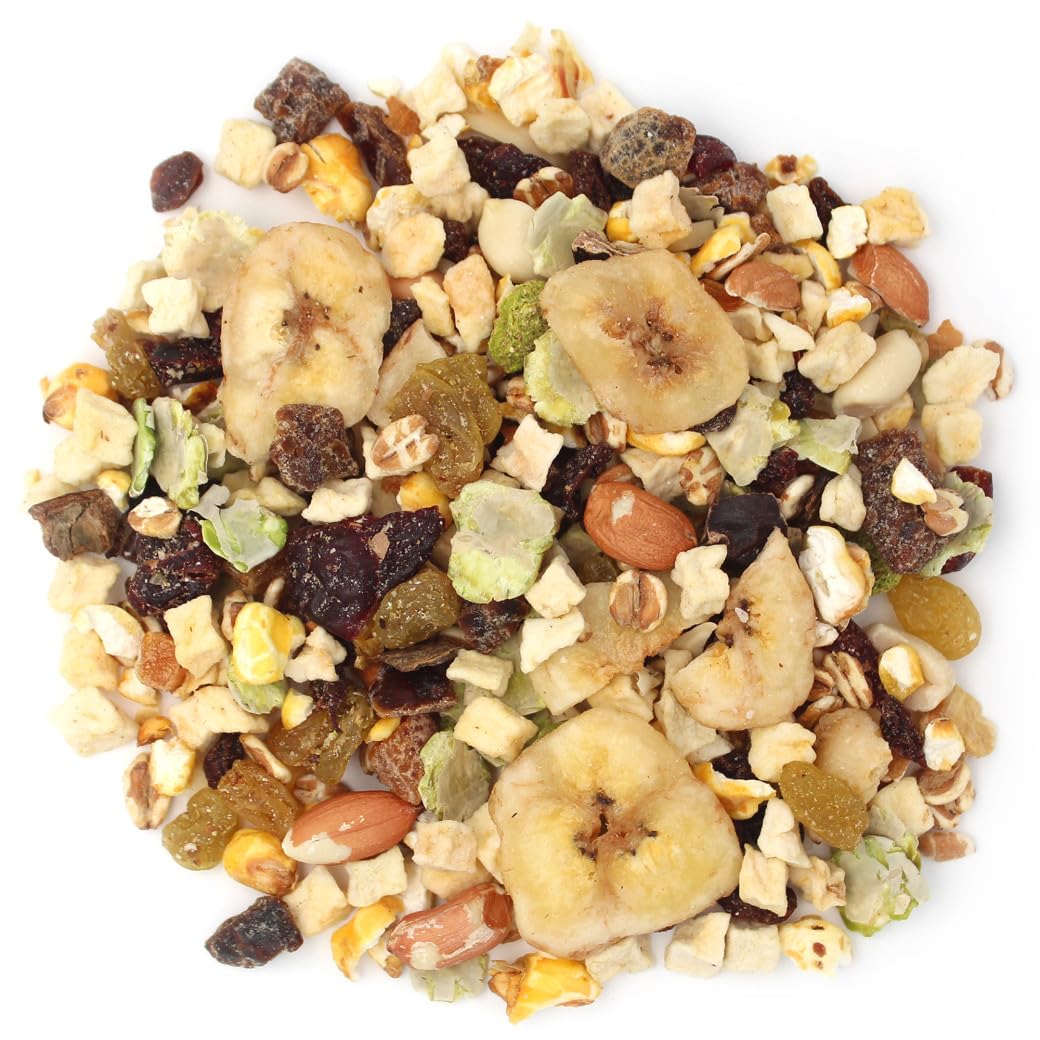 Sun Seed Company BSS59305 Fantasy Fruit Mix Cockatiel Treats Pouch, 11-Ounce