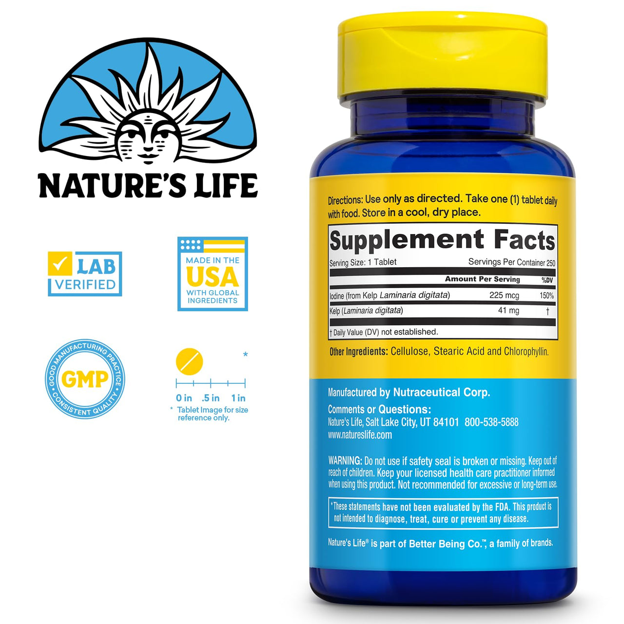Nature's Life Icelandic Kelp 41 mg - Sea Kelp Iodine Supplement from Icelandic Seawater - Thyroid Support for Women and Men with 225mcg Natural Iodine - 60-Day Guarantee, 250 Servings, 250 Tablets