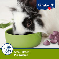 Thumbnail for Vitakraft Drops Rabbit Treats with Wildberry Flavor – 5.3 oz Delicious Yogurt-Based Snacks for Rabbits, Guinea pigs, Hamsters, Gerbils, Mice, Rats, Chinchillas, and other Small Animals.