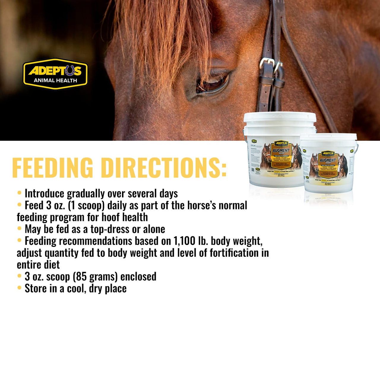 Adeptus Nutrition Augment Hoof, Granular Low Carb Horse Nutrition Support Supplement with Biotin, Amino Acids, Omega 3, 6 Fatty Acids, Chelated Minerals, Prebiotic Yeast Base, 11lbs