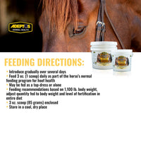 Thumbnail for Adeptus Nutrition Augment Hoof, Granular Low Carb Horse Nutrition Support Supplement with Biotin, Amino Acids, Omega 3, 6 Fatty Acids, Chelated Minerals, Prebiotic Yeast Base, 11lbs