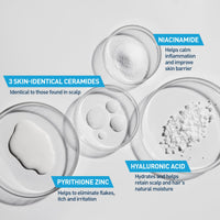Thumbnail for CeraVe 2 In 1 Hydrating Anti Dandruff Shampoo And Conditioner, 1% Pyrithione Zinc Dandruff Treatment, Color Safe & Sulfate Free Shampoo And Conditioner, Helps Eliminate Dandruff & Relieve Itchy Scalp
