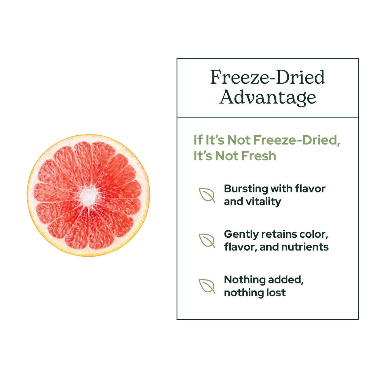 Eclectic Herb - Organic Grapefruit Powder Supplement | Vitamin, Mineral + Phytonutrient Support | Nutritional Drink Mix + Vitamin Powder | USDA Organic, Vegan, Non-GMO, Gluten Free (3.2 oz | 90 g)