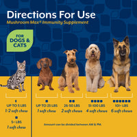 Thumbnail for NaturVet Mushroom Max Advanced Immune Support Dog Supplement – Helps Strengthen Immunity, Overall Health for Dogs – Includes Shitake Mushrooms, Reishi, Turkey Tail – 60 Ct.