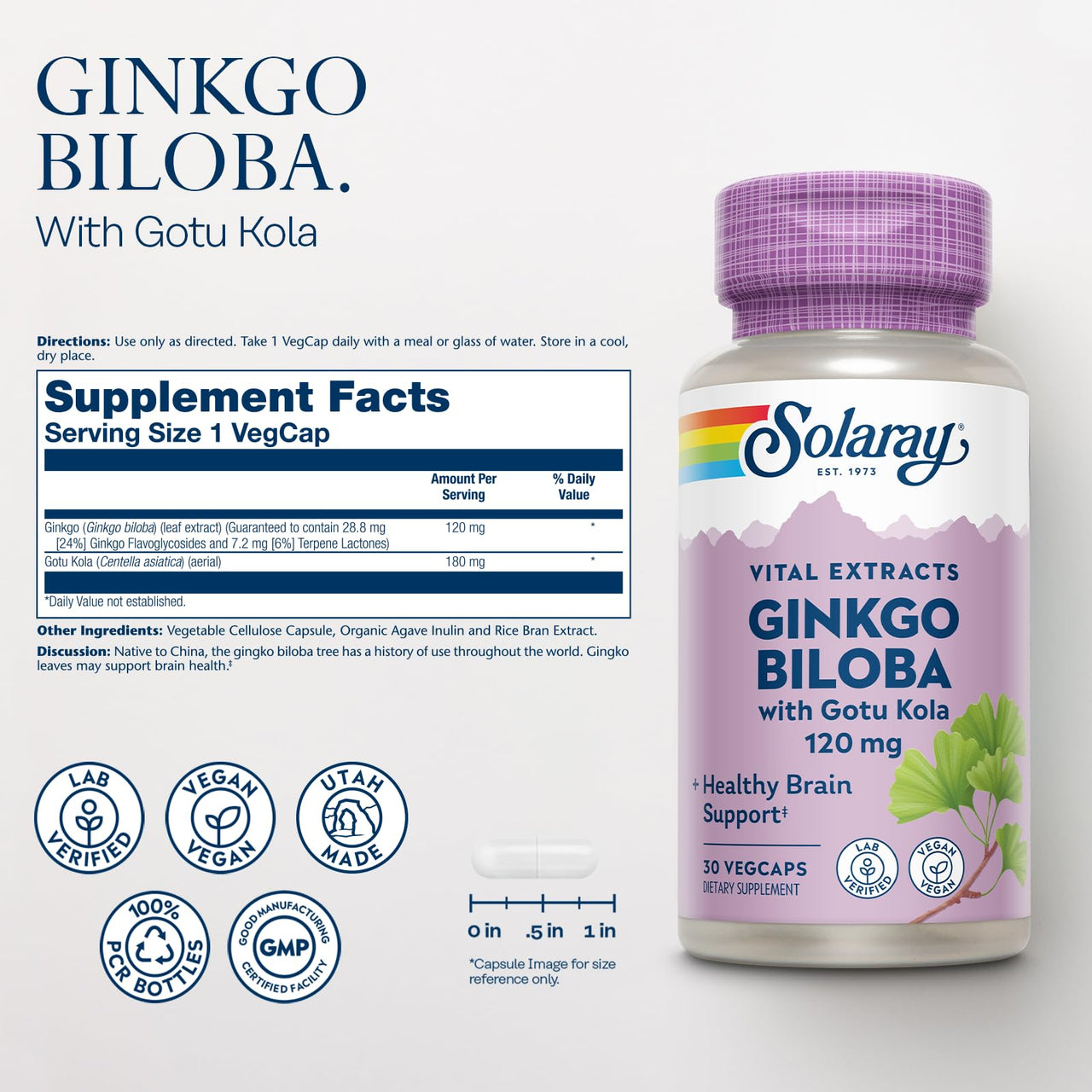 SOLARAY Ginkgo Biloba Extract with Gotu Kola - Ginko Biloba Capsules for Brain Health Support - Vegan, Lab Verified, 60-Day Guarantee - 60 Servings, 60 VegCaps (30 VegCaps)