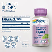 Thumbnail for SOLARAY Ginkgo Biloba Extract with Gotu Kola - Ginko Biloba Capsules for Brain Health Support - Vegan, Lab Verified, 60-Day Guarantee - 60 Servings, 60 VegCaps (30 VegCaps)