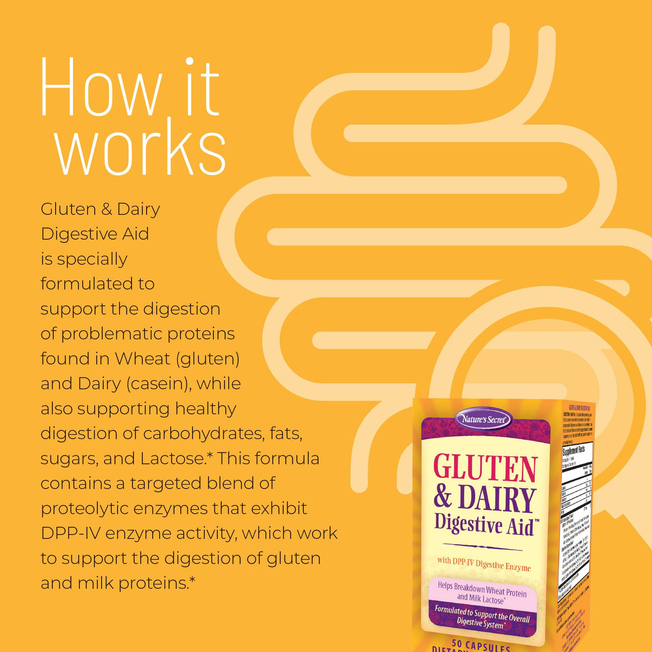 Nature's Secret Gluten & Dairy Digestive Aid - 50 Capsules - Helps Break Down Wheat Protein & Milk Lactose - 25 Servings