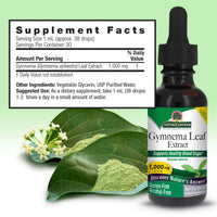 Thumbnail for Nature's Answer Alcohol-Free Gymnema Leaf 1oz Extract | Gluten-Free | Non-GMO | Vegan | No Artificial Flavors or Preservatives | Single Count