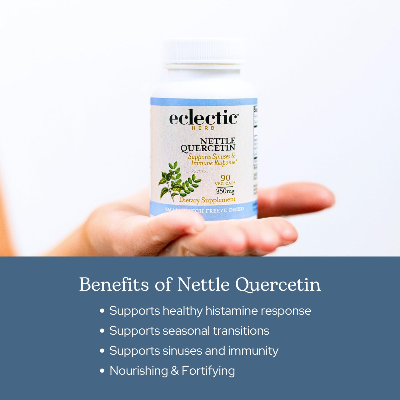 Eclectic Herb - Nettle Quercetin Capsules | Non-GMO, Vegan | 90 CT