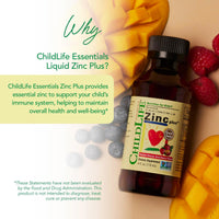 Thumbnail for CHILDLIFE ESSENTIALS Liquid Zinc Plus for Kids & Toddler - Liquid Supplement Drops, Zinc Gluconate & Copper for Immune Support - Mango Strawberry, 4 Fl Oz (Pack of 1)