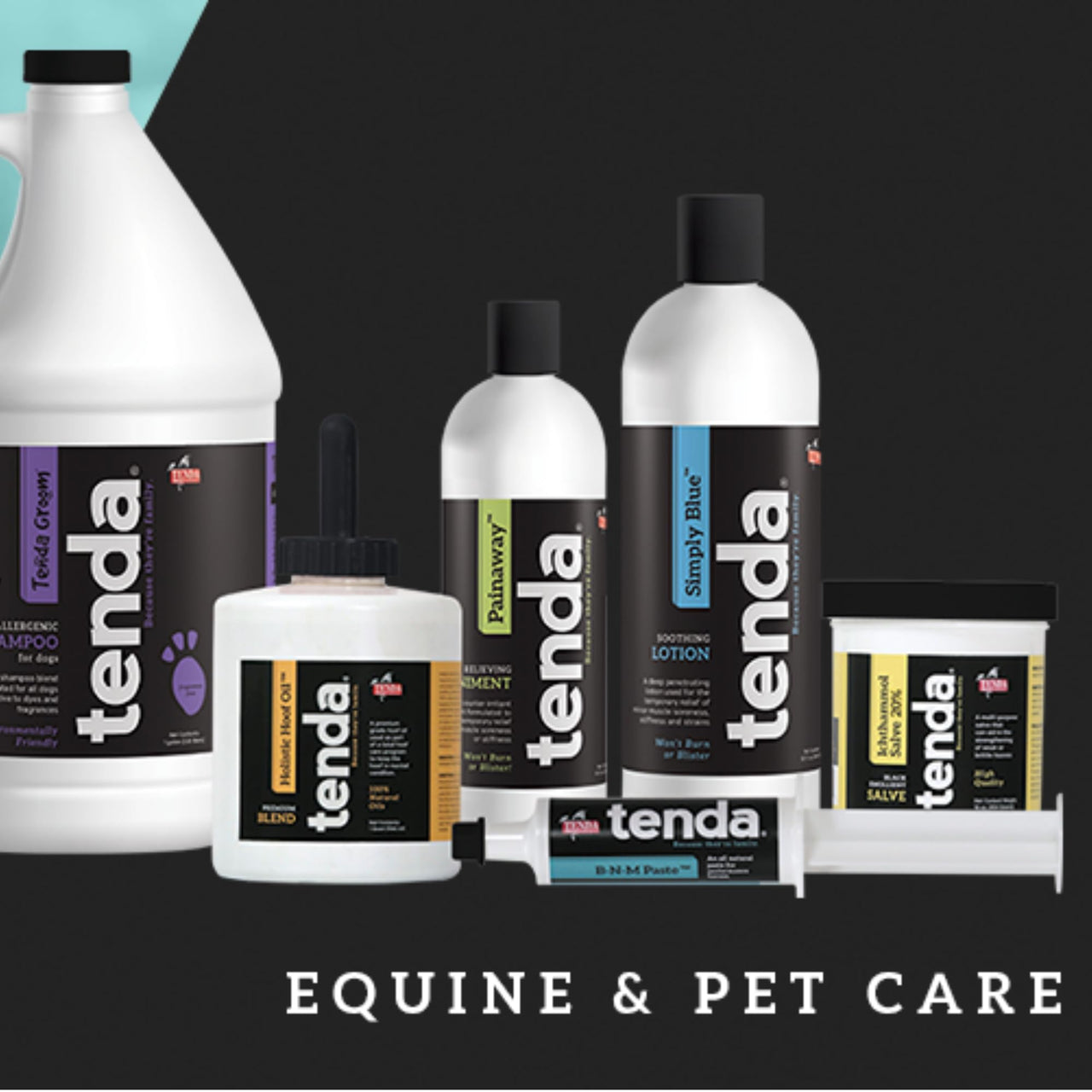 Tenda Energy & Recovery Paste - Fast Finish - A Test Free Pre-Race Paste That is A Superior Source of Energy for The Equine Athlete
