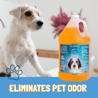 Thumbnail for Bio-Groom Groom'n Fresh Dog Shampoo - Odor Eliminating, Dog Bathing Supplies, Puppy Wash, Cat Grooming Supplies, Cruelty-Free, Product Made in USA - 12 fl oz 1-Pack